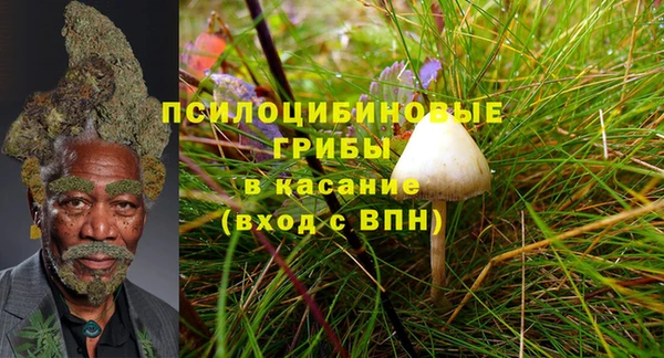 стафф Володарск