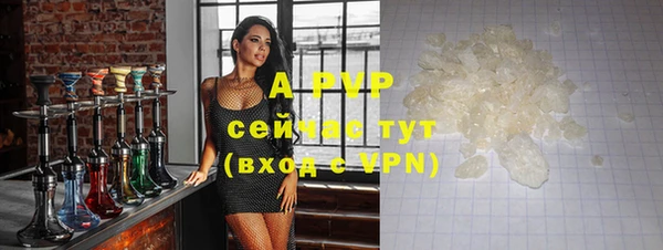 стафф Володарск
